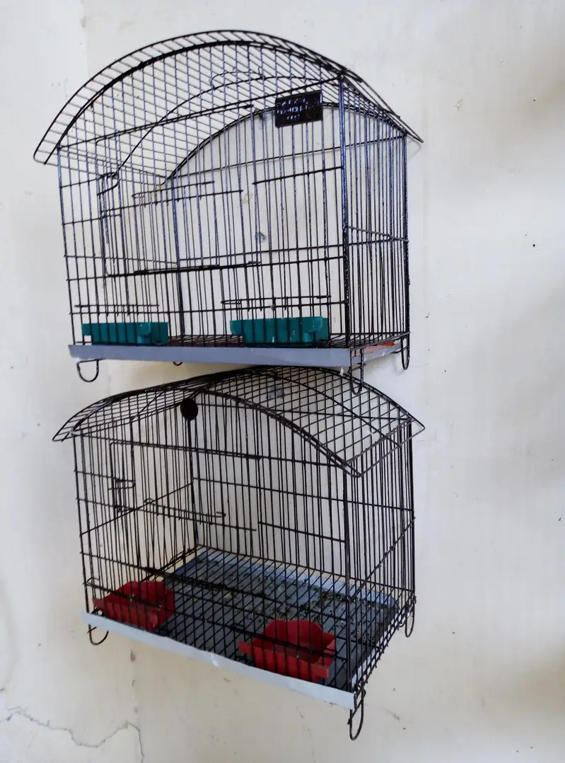Cages, Boxes & Doliyan for sale Read full ad 03129196869 — photo 2
