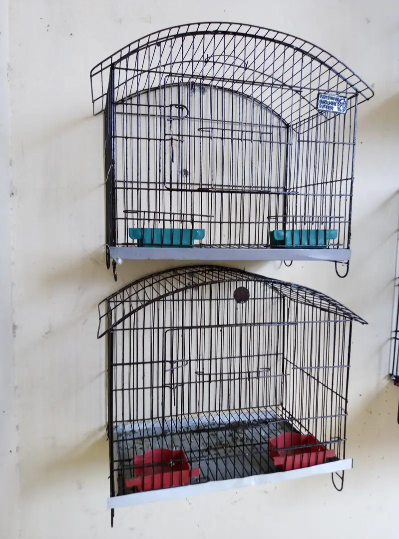 Cages, Boxes & Doliyan for sale Read full ad 03129196869 — photo 3