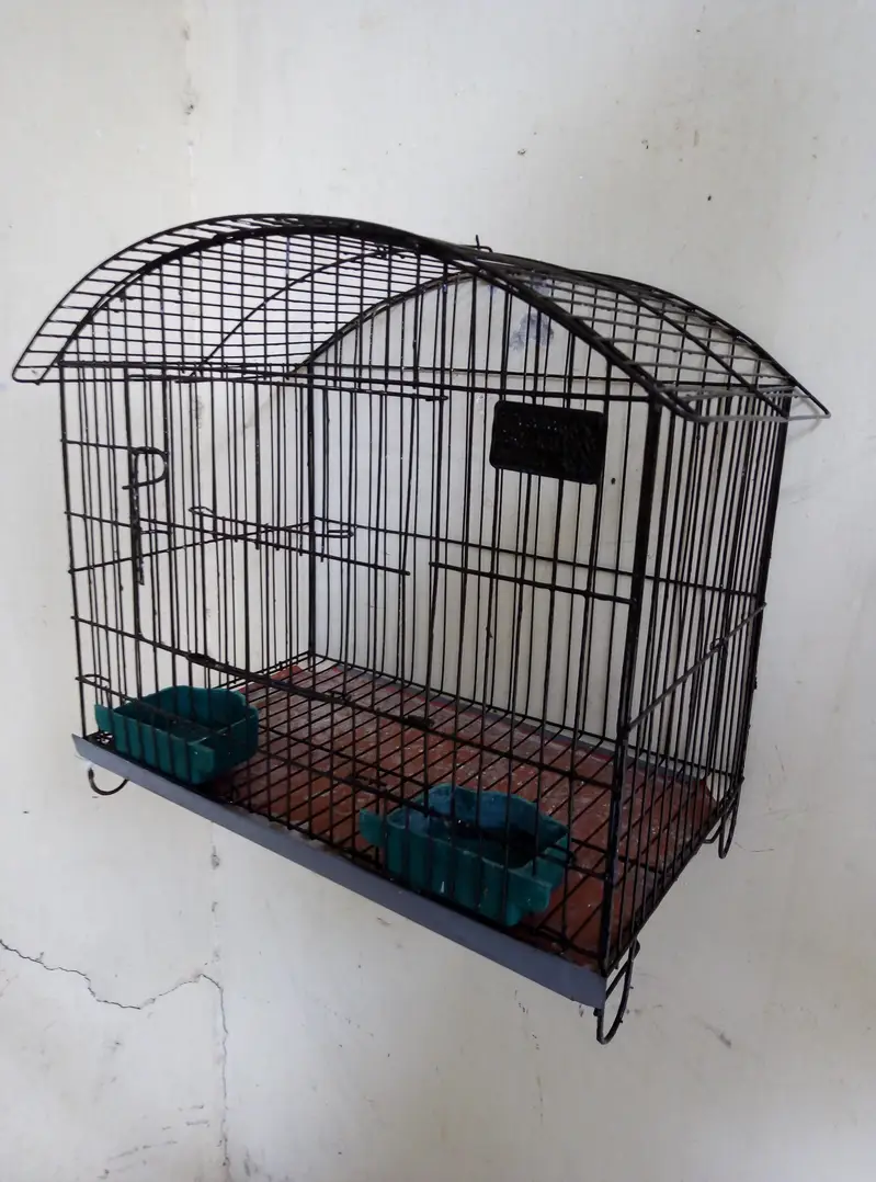 Cages, Boxes & Doliyan for sale Read full ad 03129196869 — photo 4