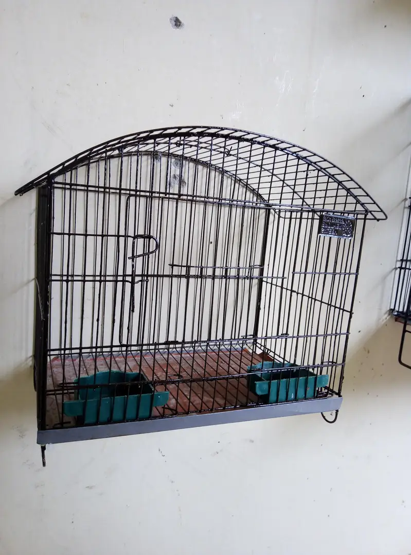 Cages, Boxes & Doliyan for sale Read full ad 03129196869 — photo 5