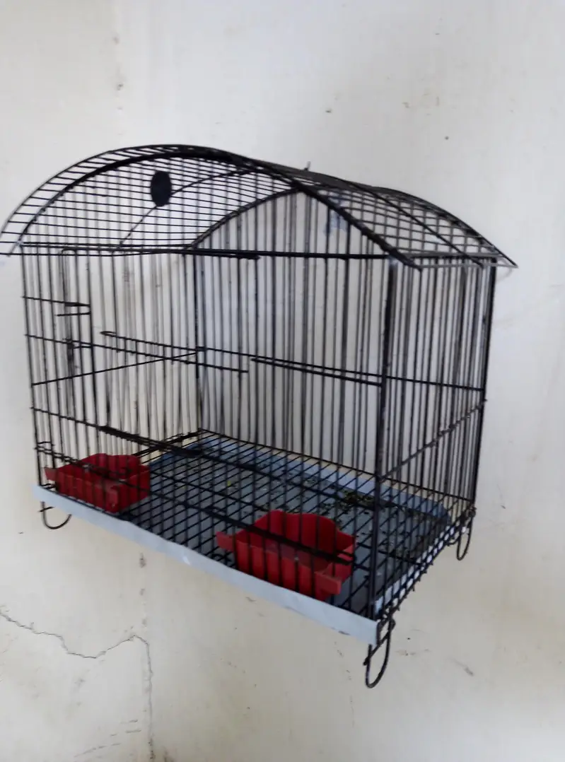 Cages, Boxes & Doliyan for sale Read full ad 03129196869 — photo 6