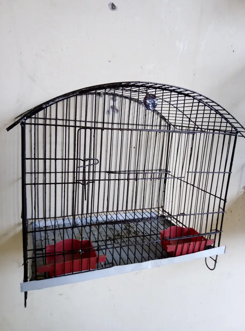 Cages, Boxes & Doliyan for sale Read full ad 03129196869 — photo 7