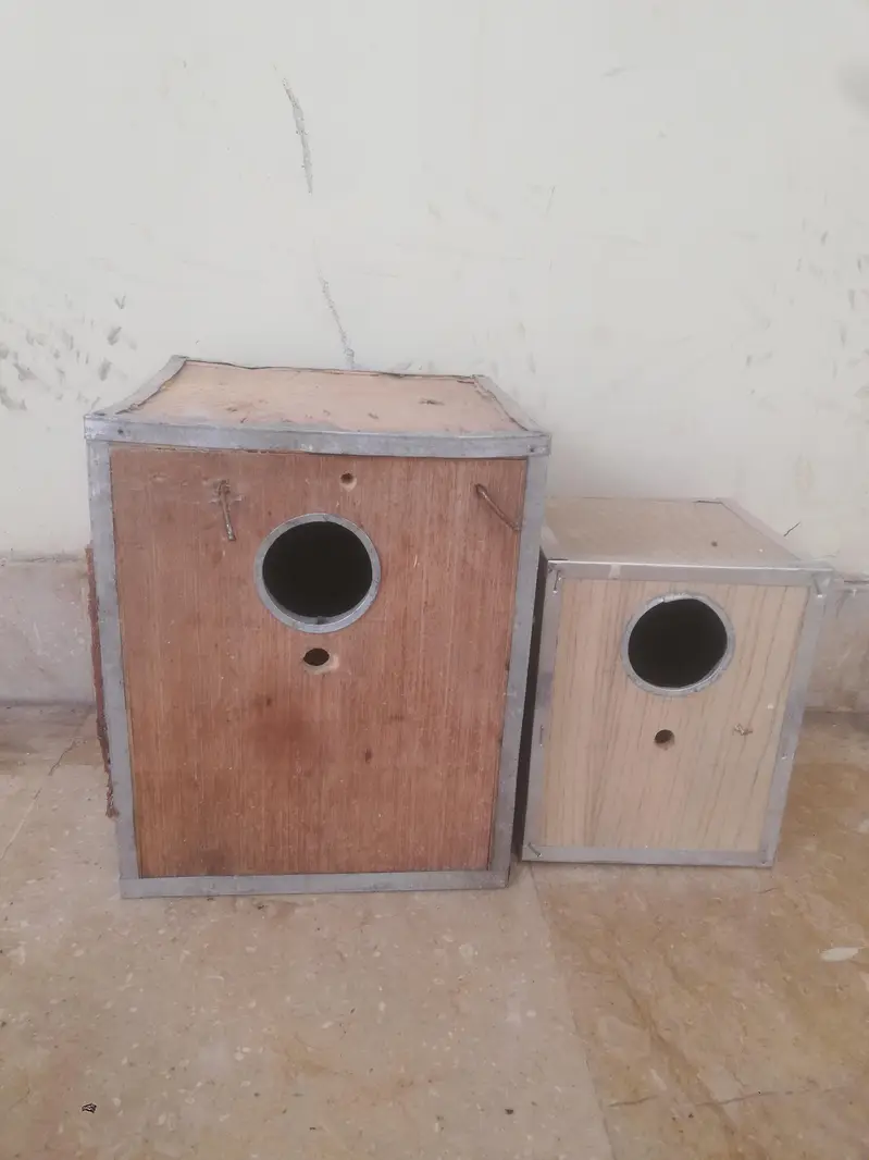 Cages, Boxes & Doliyan for sale Read full ad 03129196869 — photo 8