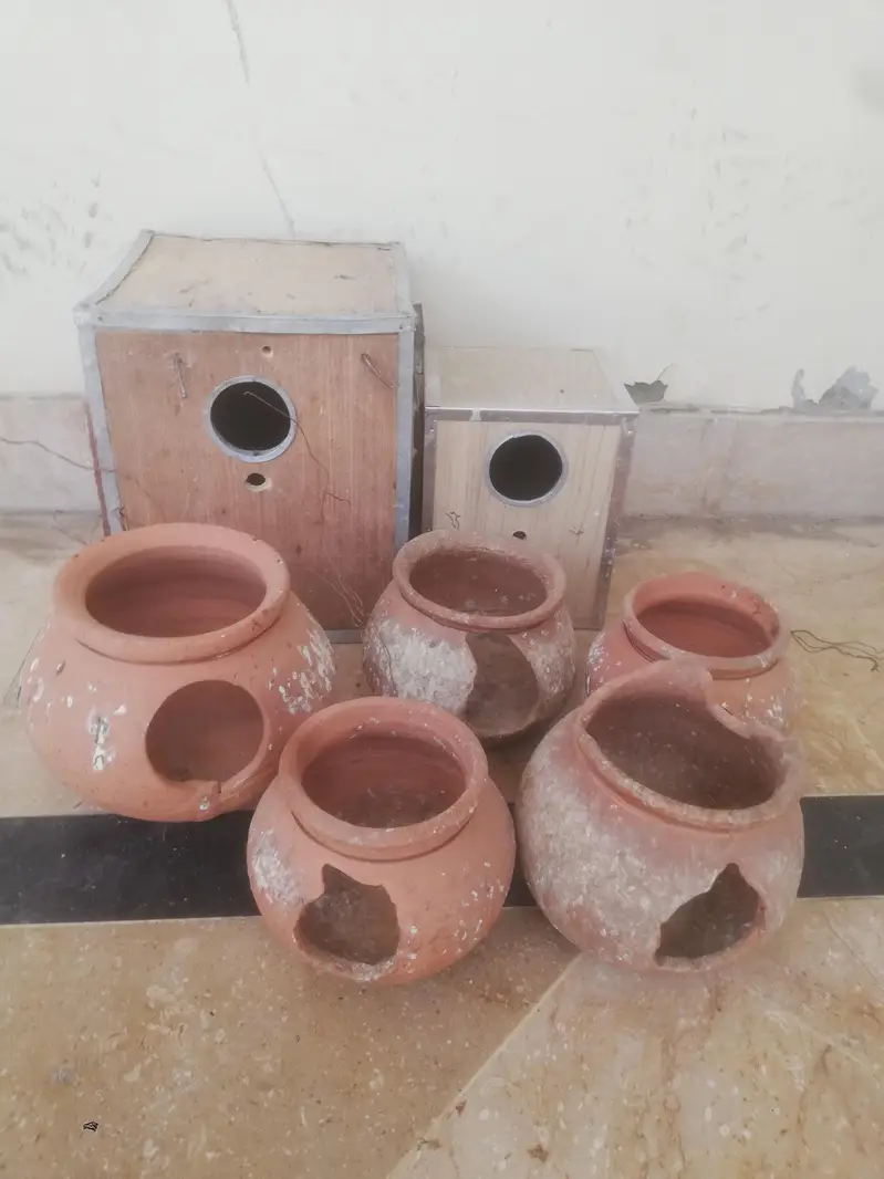 Cages, Boxes & Doliyan for sale Read full ad 03129196869 — photo 9