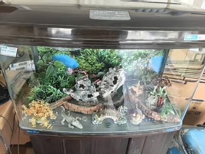 Branded JEBO Aquarium with Wooden Cabinet & Complete Accessories