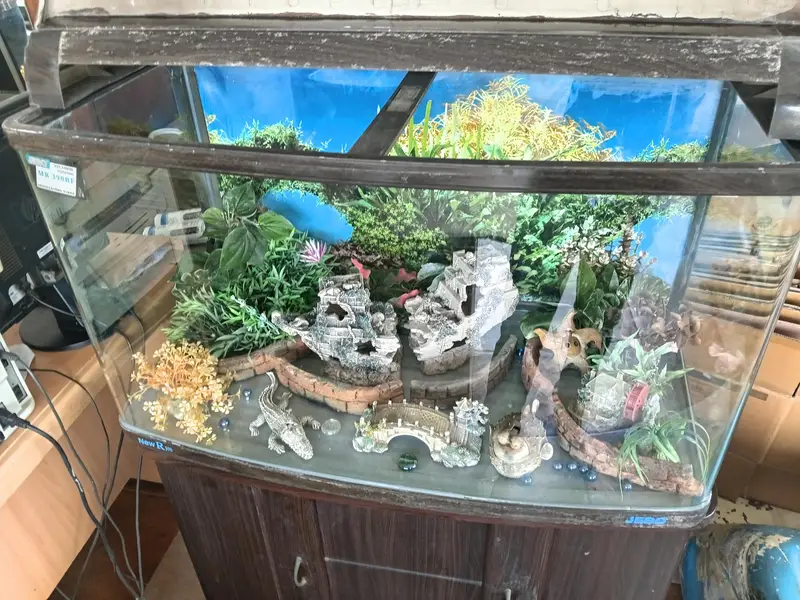 Branded JEBO Aquarium with Wooden Cabinet & Complete Accessories — photo 3