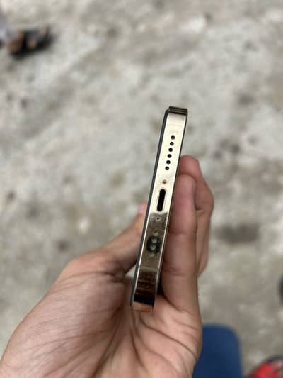 Apple iPhone 12 Pro Max