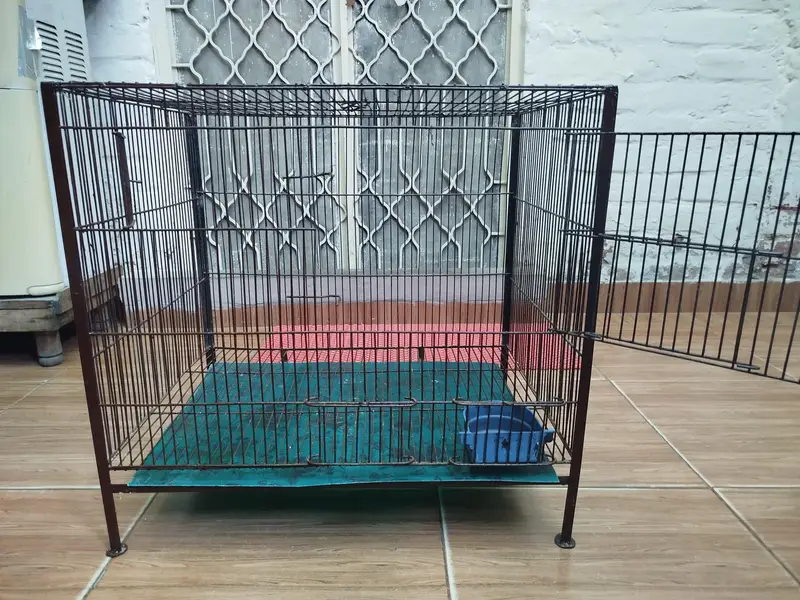 Cage For Sale (Animal/Bird) — photo 2