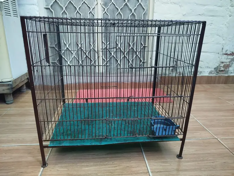 Cage For Sale (Animal/Bird) — photo 3