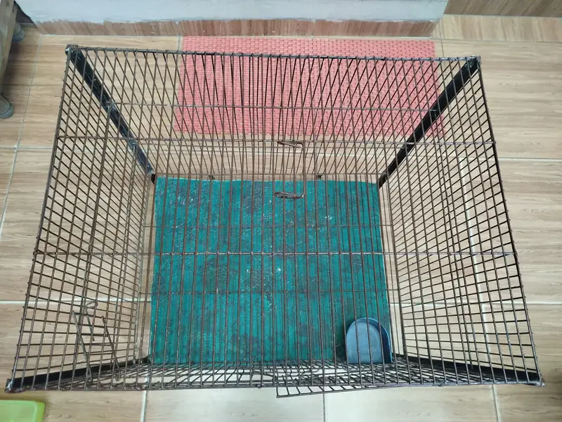 Cage For Sale (Animal/Bird) — photo 4