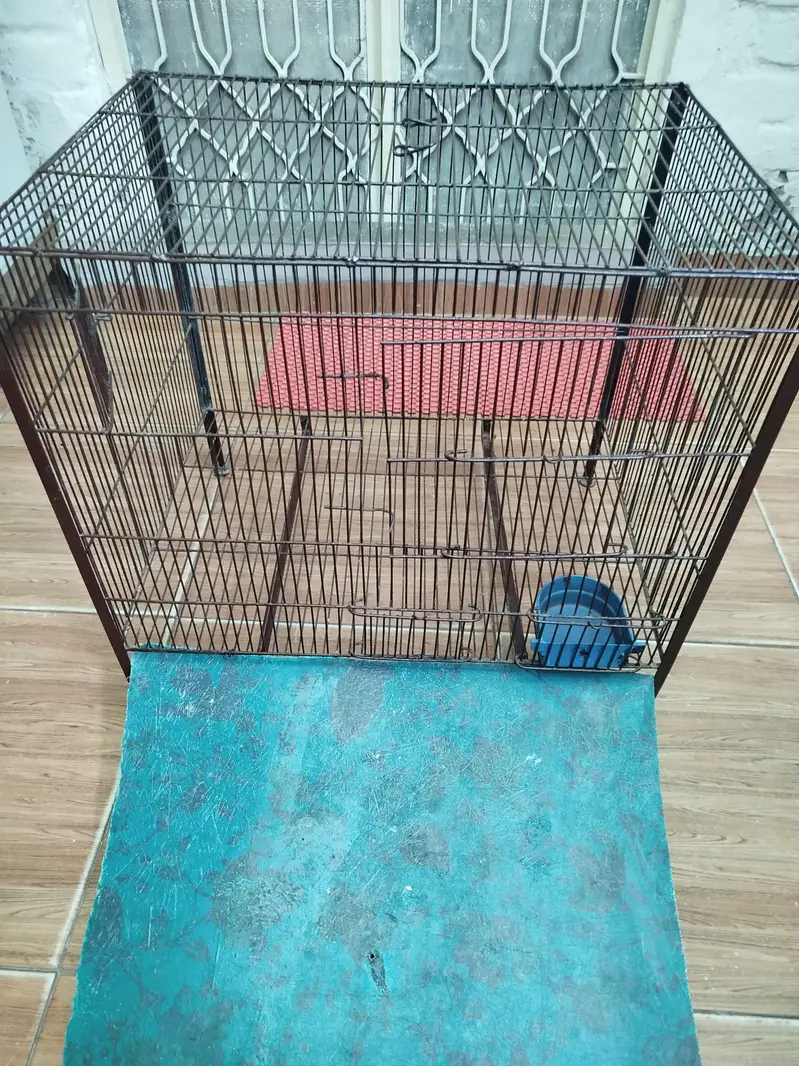 Cage For Sale (Animal/Bird) — photo 5