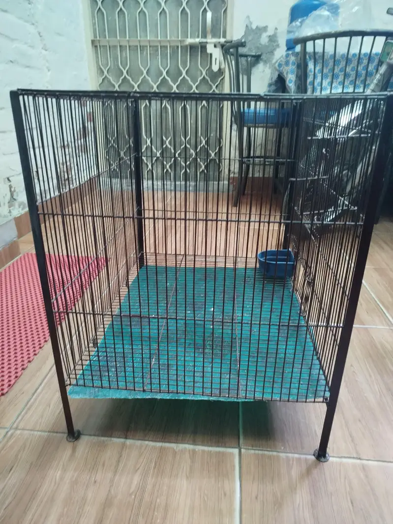 Cage For Sale (Animal/Bird) — photo 6