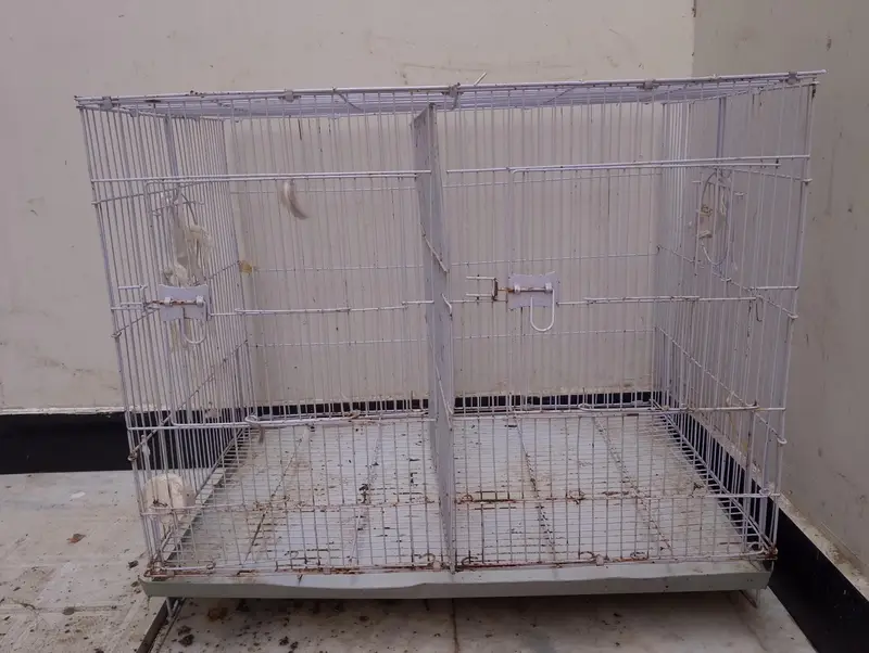 Cages — photo 2
