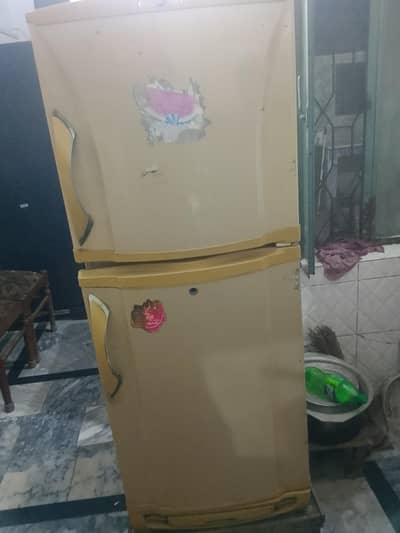 Pel small size fridge