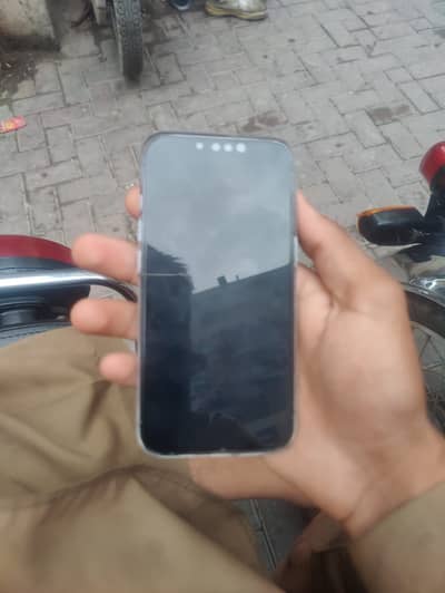 Apple iPhone 13 Pro jv