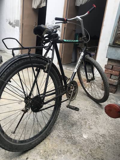 Phoenix cycle for sale