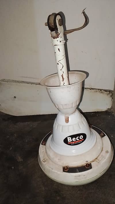 beco fan . .