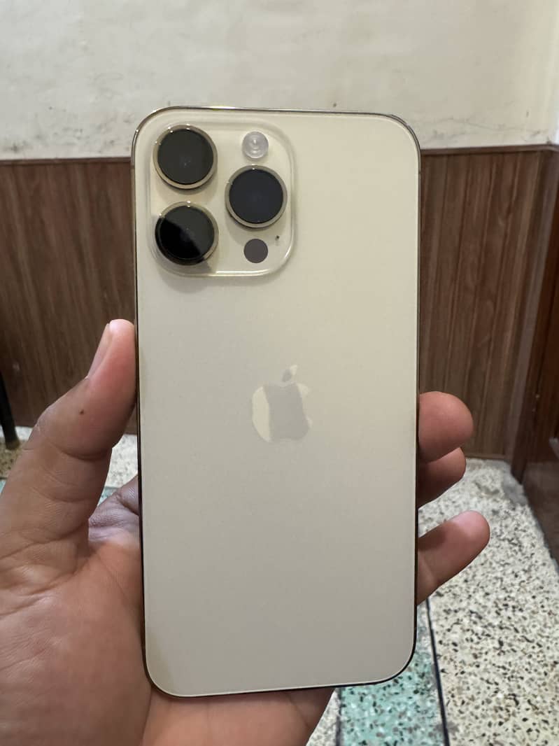 IP 14 pro max 0
