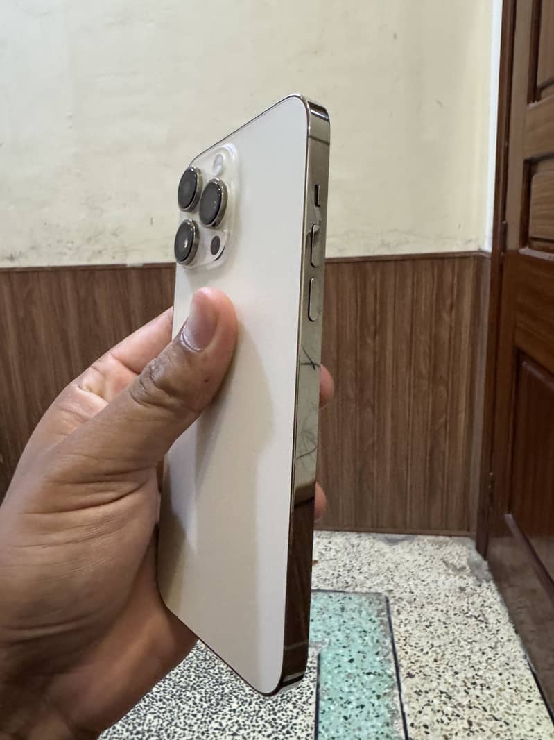 IP 14 pro max 1