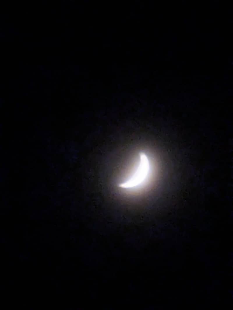Google Pixel 6 Pro 4