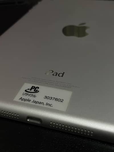apple iPad mini