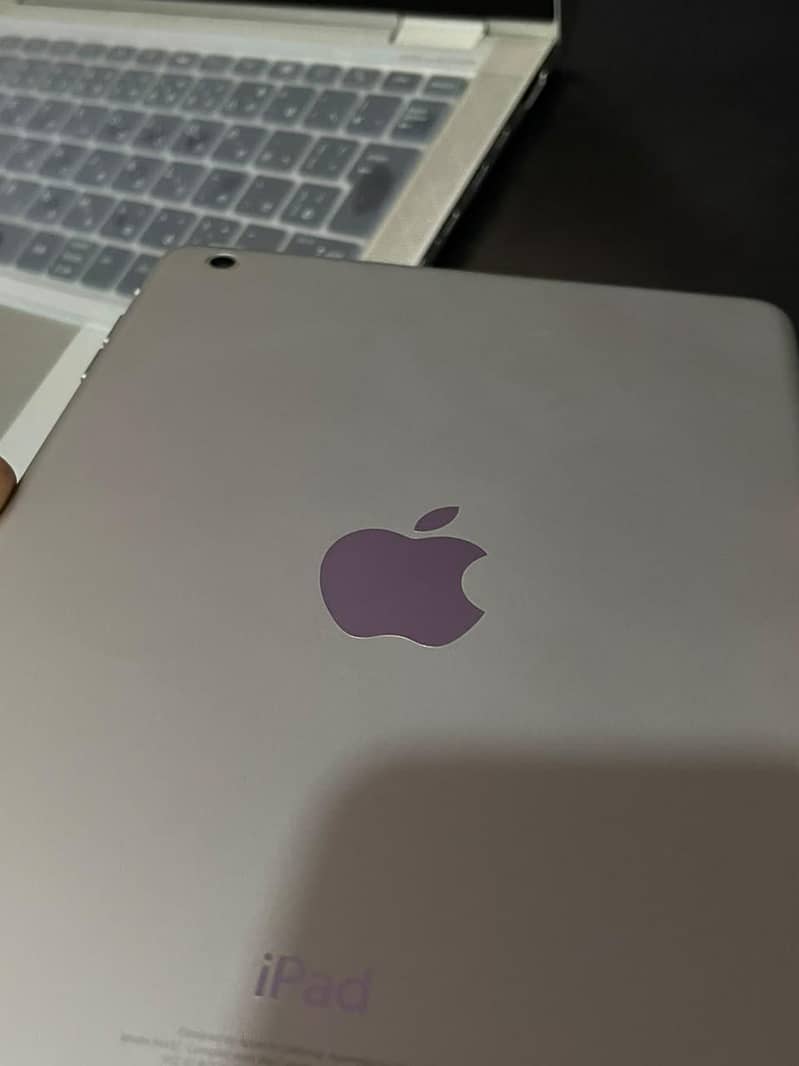 apple iPad mini 3