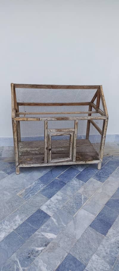 Birds cage