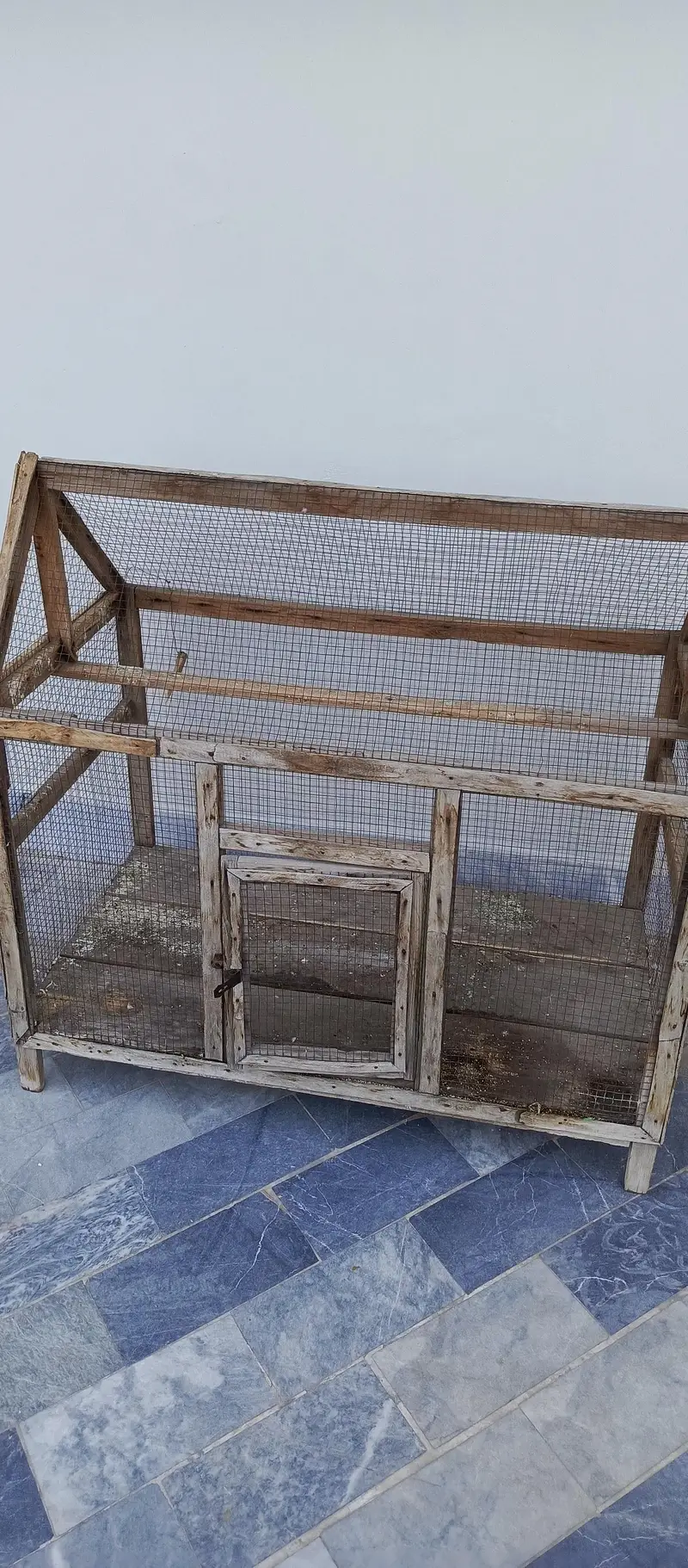 Birds cage — photo 3
