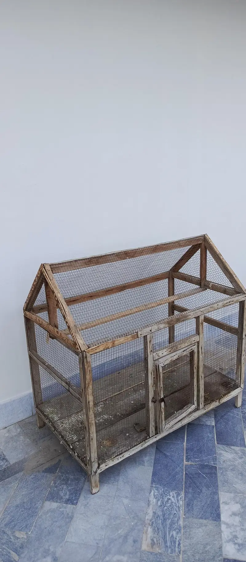 Birds cage — photo 4