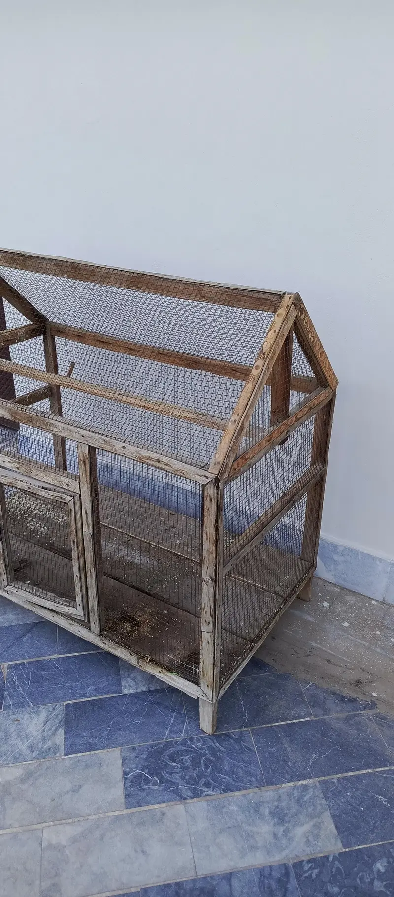 Birds cage — photo 5