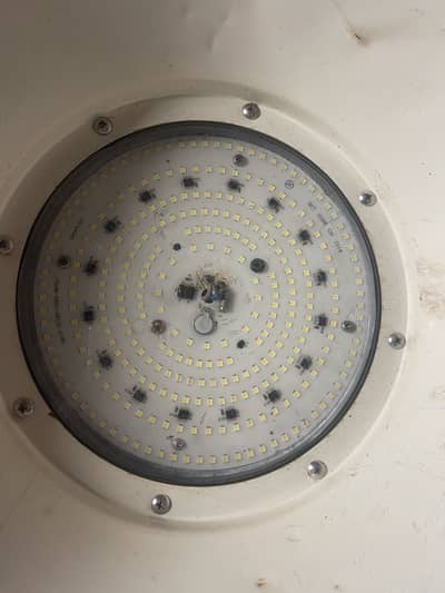 Japani focus light