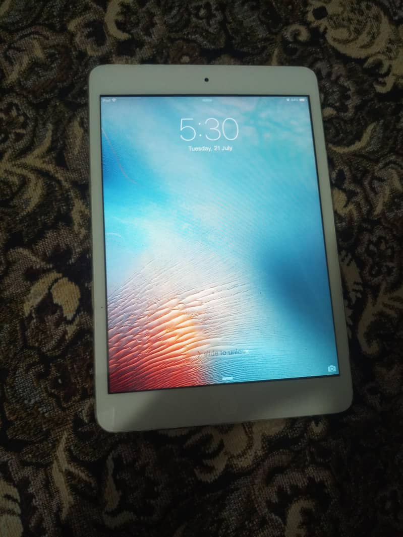 Apple ipad mini 0