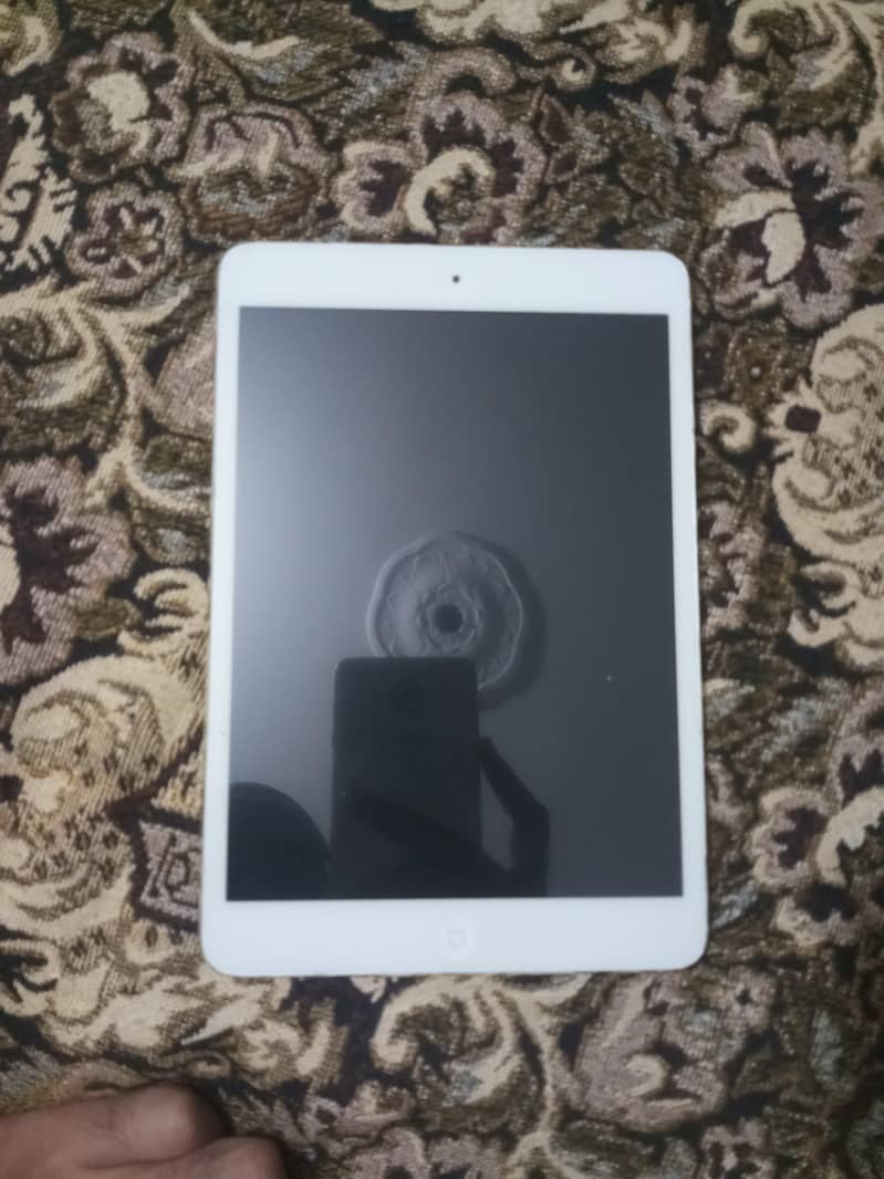 Apple ipad mini 12