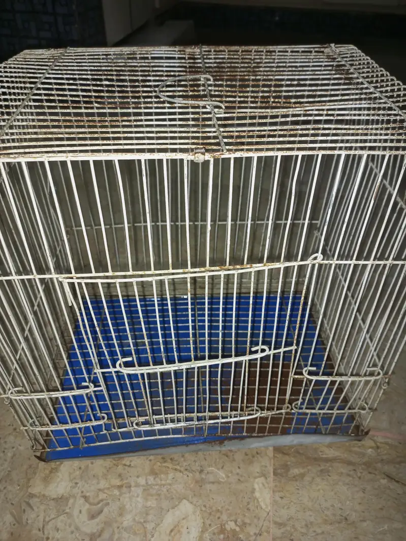Cage For Sale — photo 3