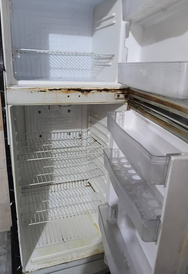 fridge 2