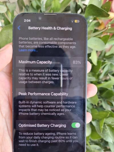 Apple iPhone 14