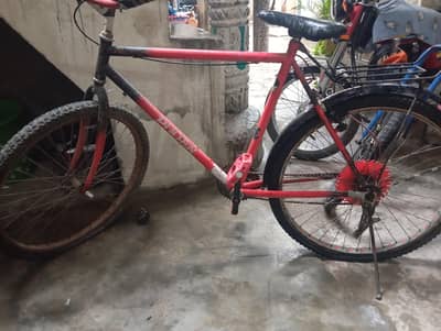 Phoenix full size gear bicycle