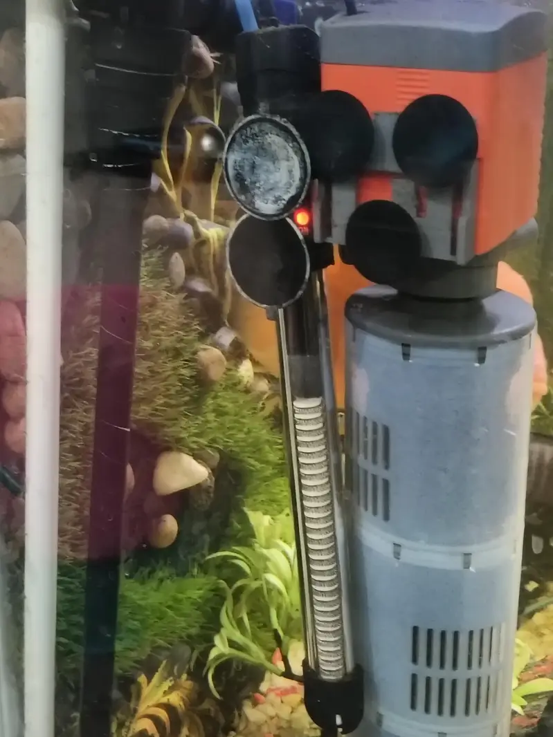 Urgent selling full Aquarium - Interested peoples contact — photo 8