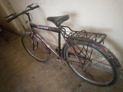 Mountain bicycle
