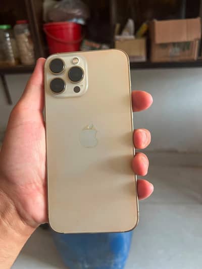 Apple iPhone 13 Pro Max jv