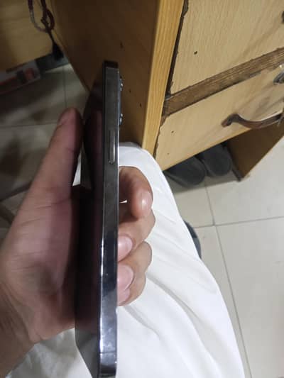 Apple iPhone 13 Pro Max jv