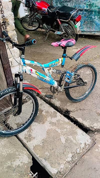 Phoenix cycle 20 inch
