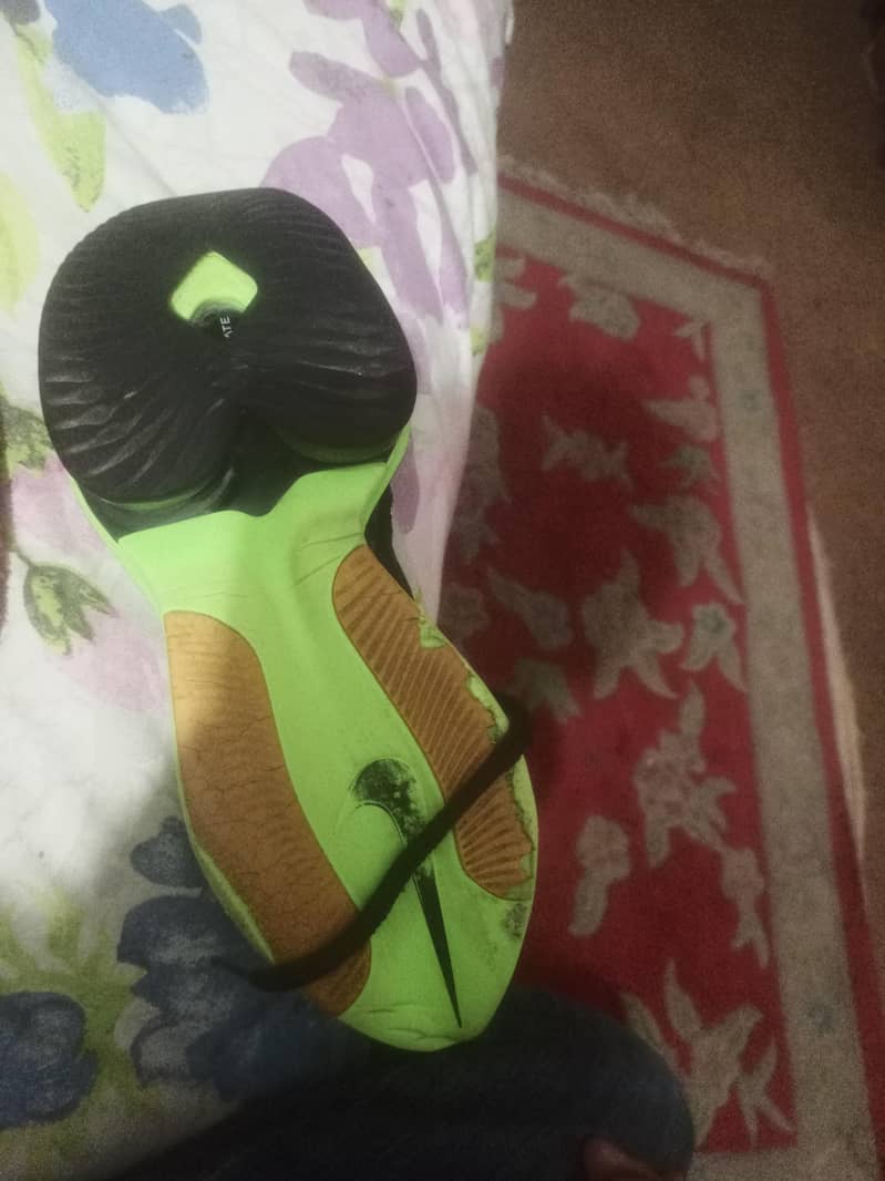 alpha fly 1