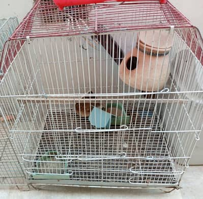 Cage big size