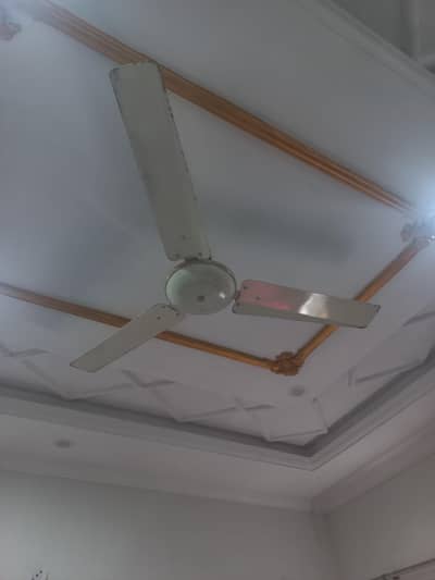ciling fan for sale