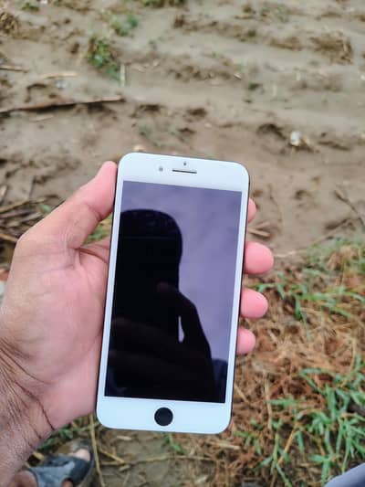 I phone 8 plus