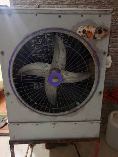 Solar cooler for sale