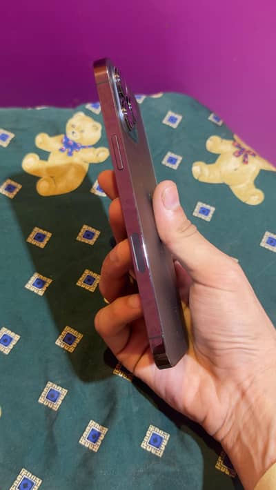 Apple iPhone 13 Pro Max