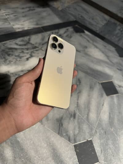 Apple iPhone 13 Pro Max