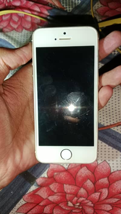 Apple iPhone 5s